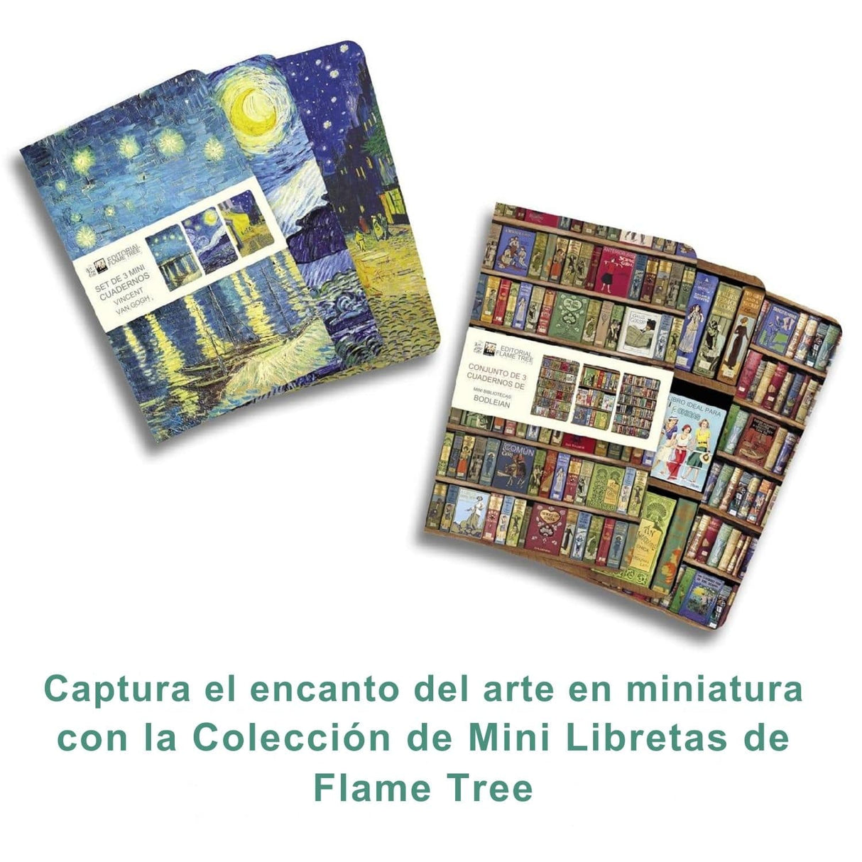 Flame Tree - Set 3 Libretas Mini, Líneas y Lisa Gustav Klimt