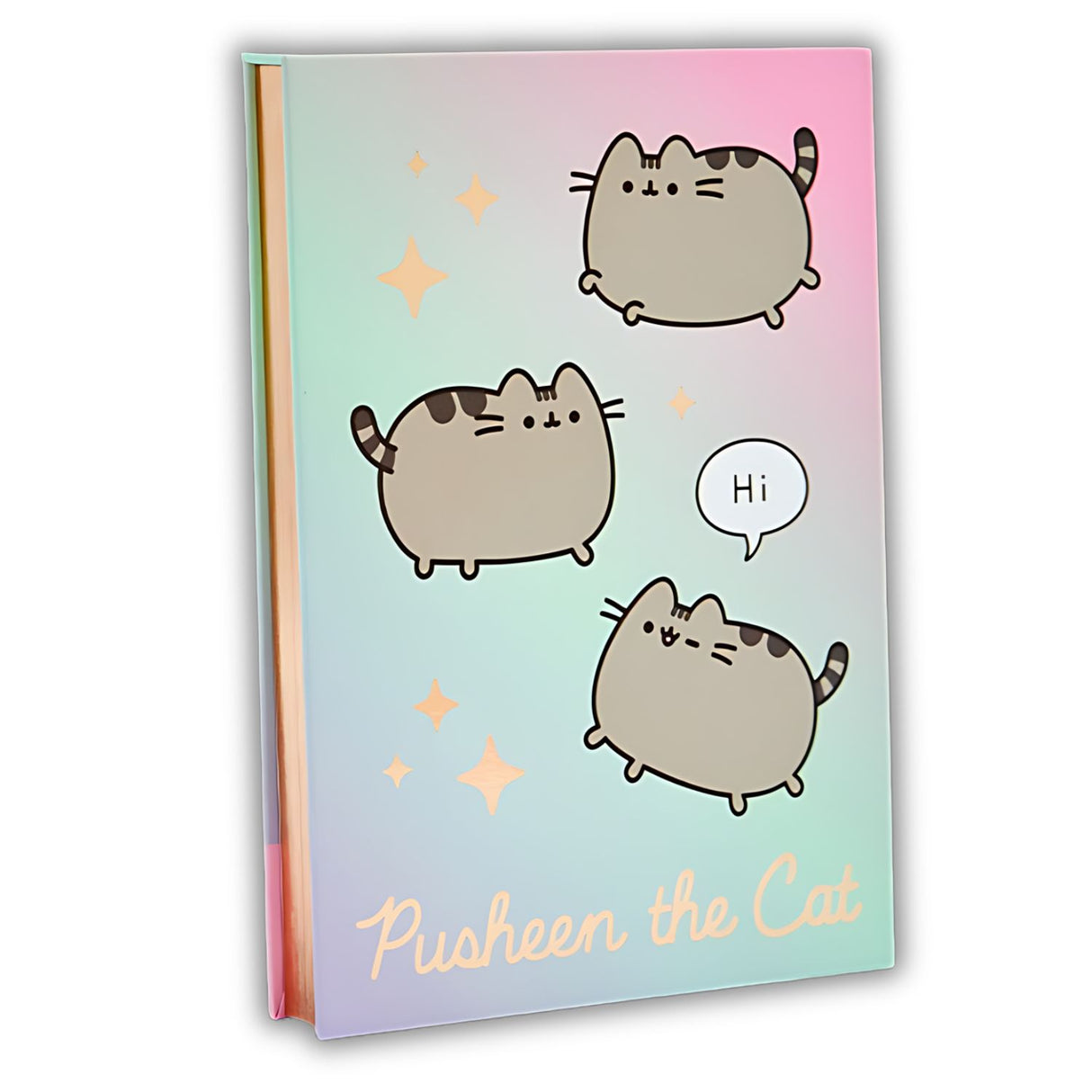 Mooving at Work - Block de Notas Pusheen 17 x 12 cm 120 h