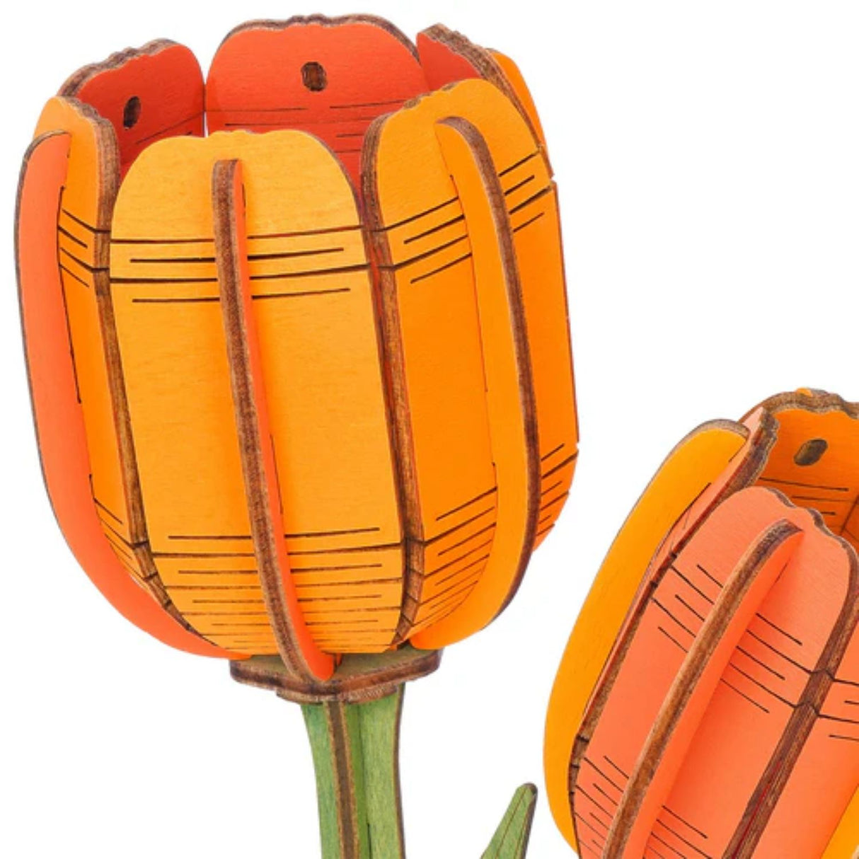 Rowood Wooden Bloom Craft - Miniatura Armable Flor Orange Tulip (Tulipán Naranja)