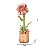 Rowood Wooden Bloom Craft - Miniatura Armable Flor Pink Rose (Rosa Rosada)