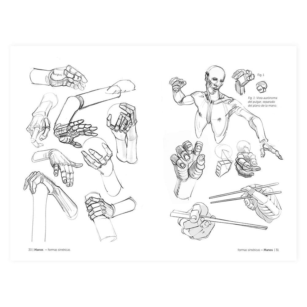 Libro Anatomía Artística 7; Cuerpos Musculados de Michel Lauricella. – Dibu  Chile